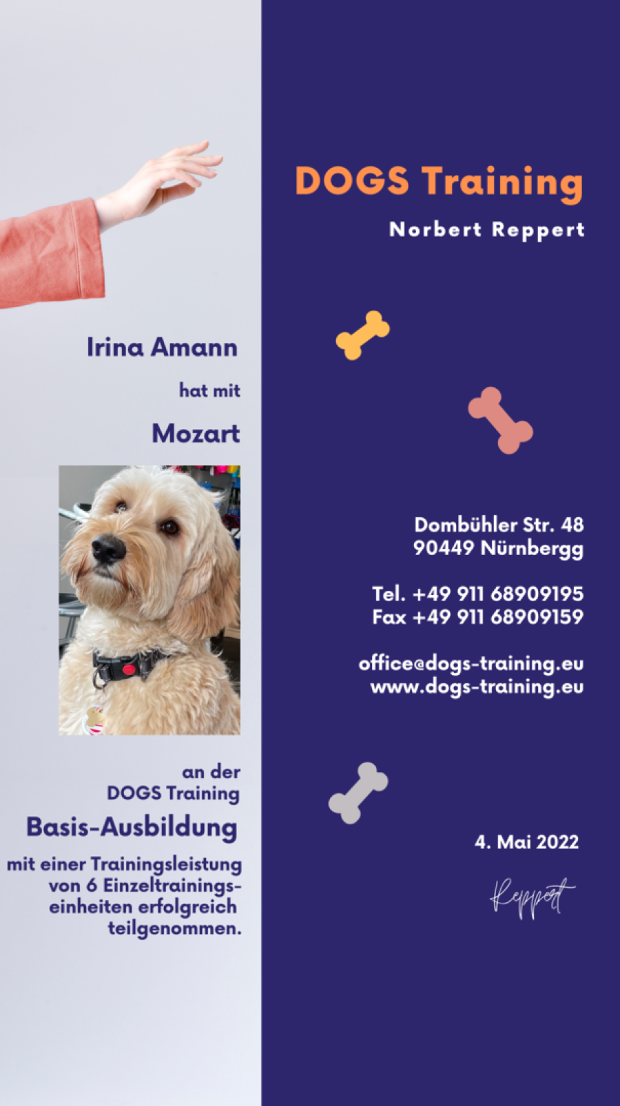 Hundeschule Erlangen