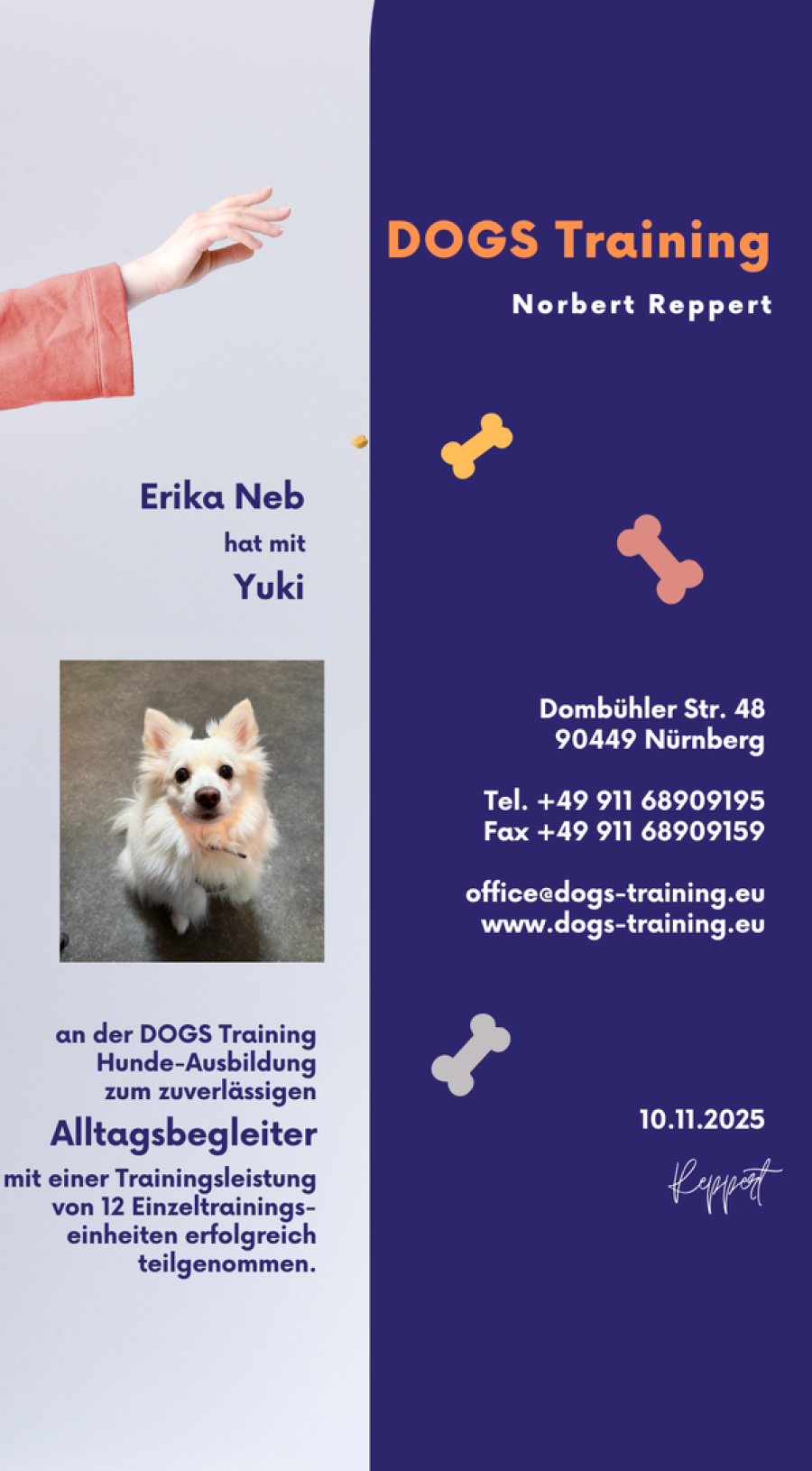 Hundesteuer Nürnberg