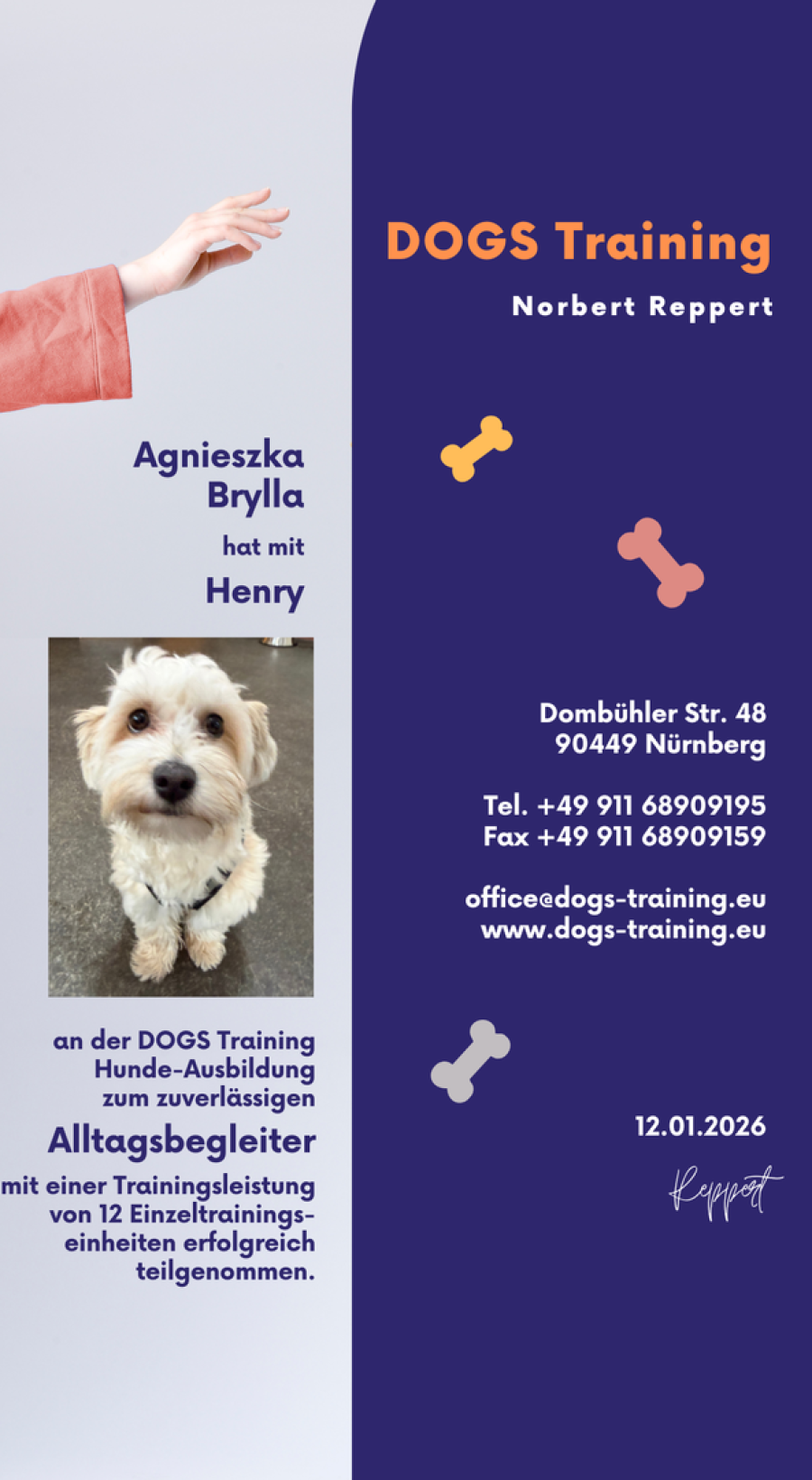 Hundeschule Nürnberg