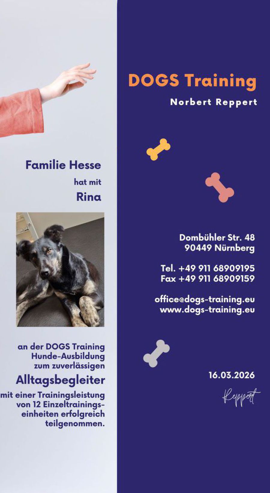 Hundeschule N
