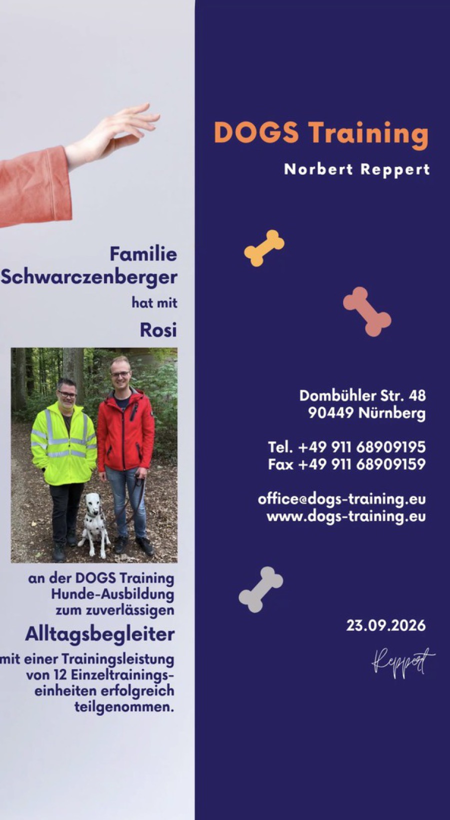 Hundesteuer Nürnberg