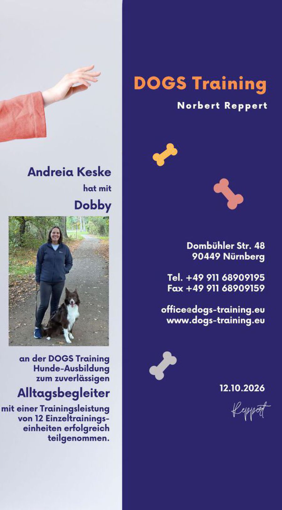 Hunde Nürnberg