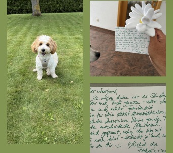 Lernen Lachen Familienzeit